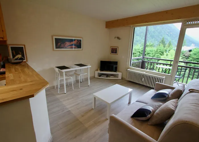 Studio Residence Grands Montets
